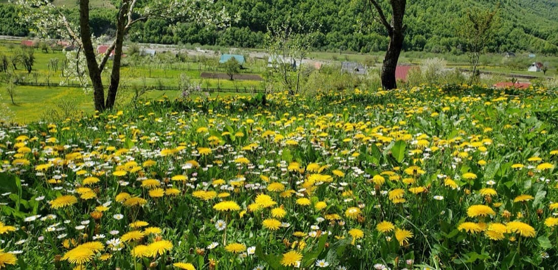 Bujtina "Ngrohtësia" 2