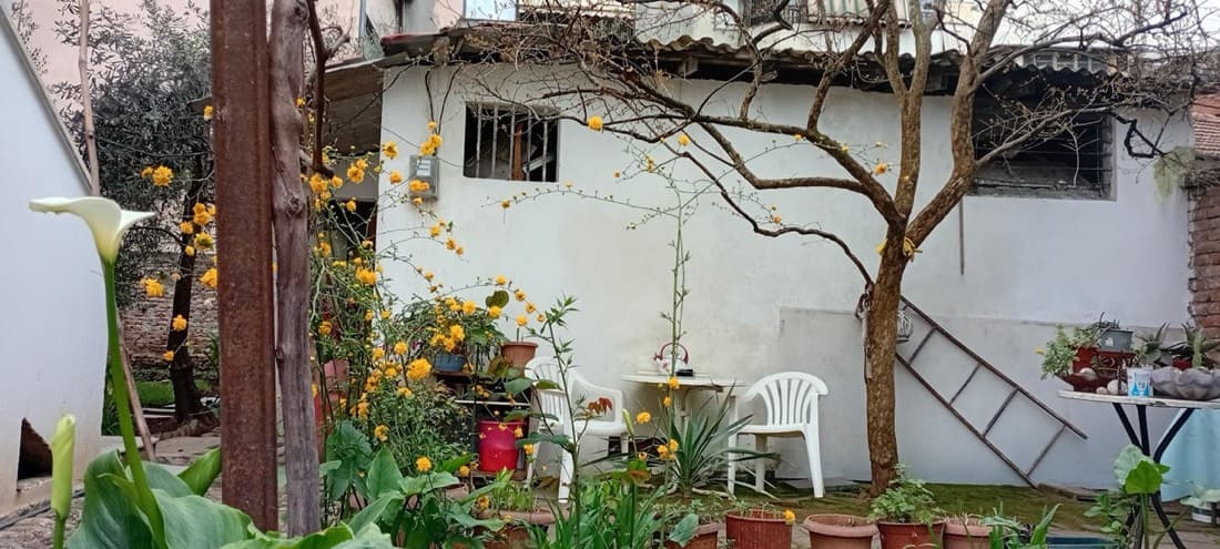 Enkis Guesthouse Tirana 2