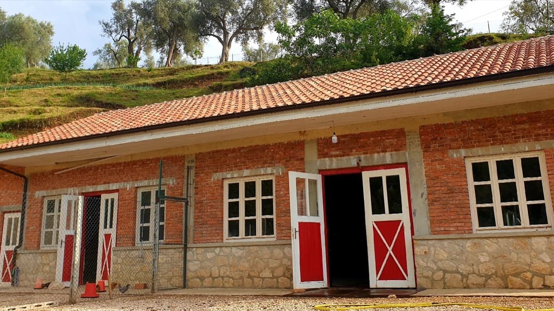Bardhi Farm 2