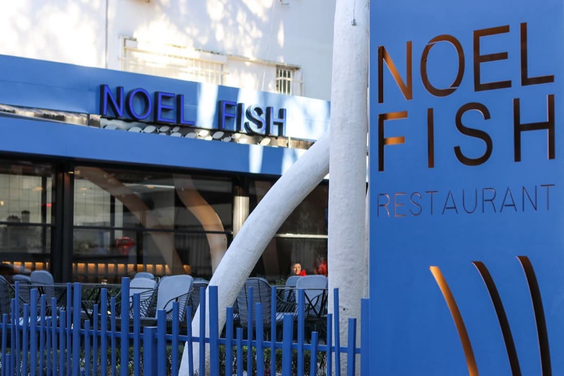 Noel Fish 2