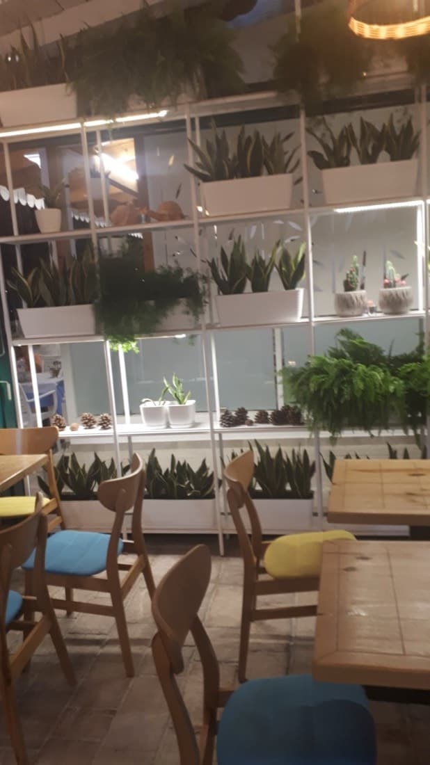 Taverna Garden