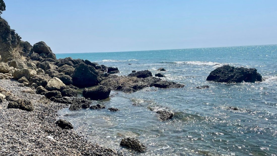 Wild Beach 2
