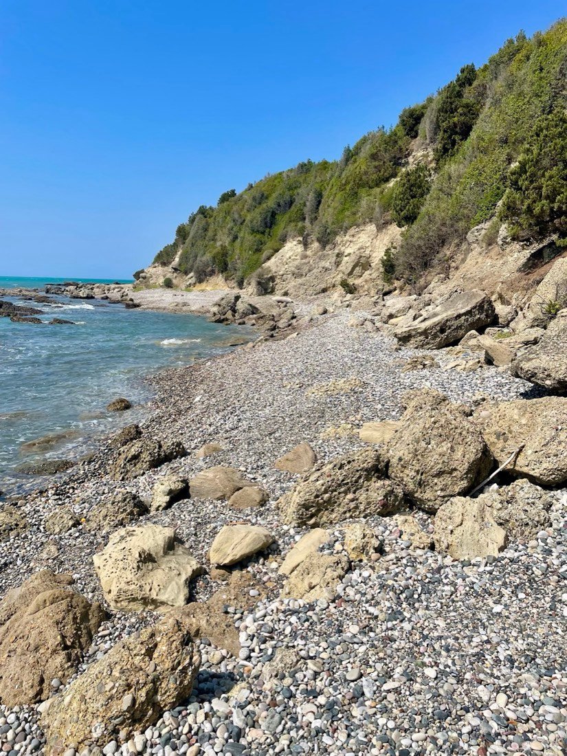 Wild Beach