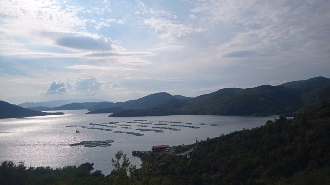 Lake Vau i Dejës