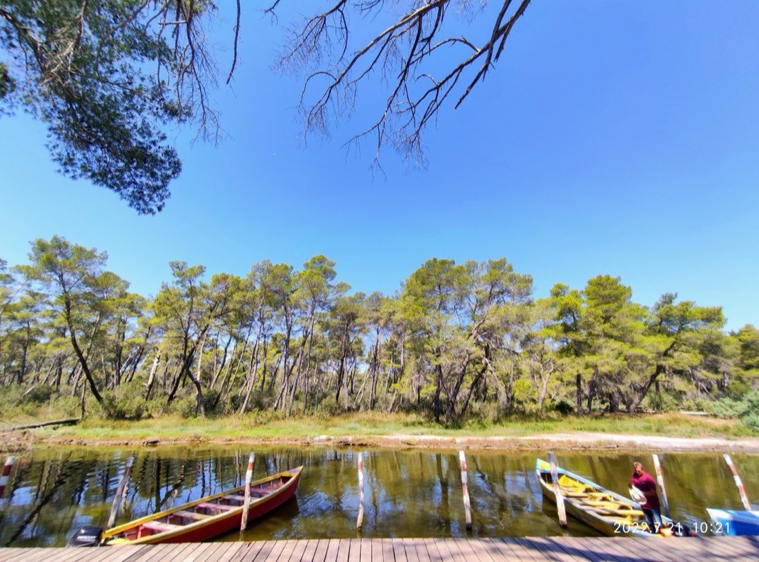 Divjakë-Karavasta National Park 2