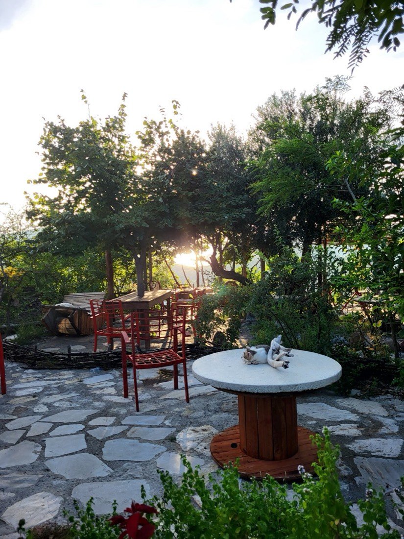 Ledi's Place 2